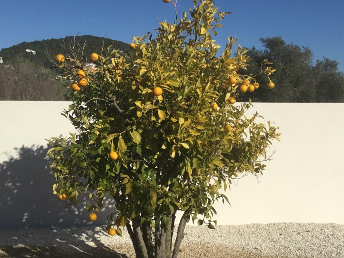 Casita In Javea With Garden And Pool - Dog Friendly! المظهر الخارجي الصورة